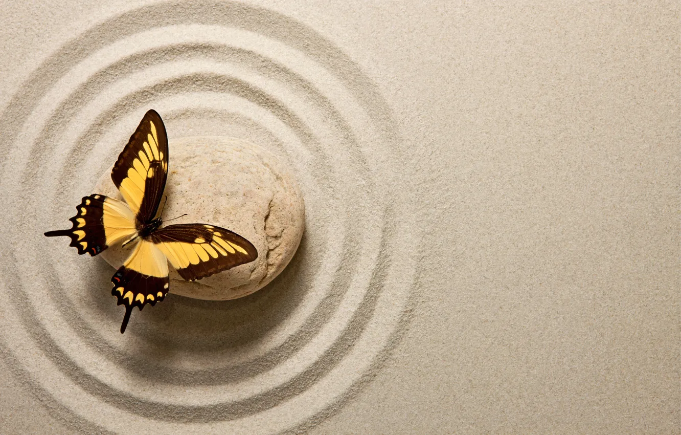 Photo wallpaper sand, butterfly, stone, butterfly, sand, oriental, zen
