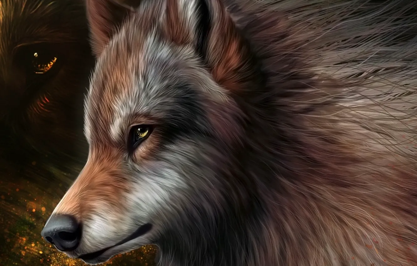 Photo wallpaper graphics, art, wolf, wool