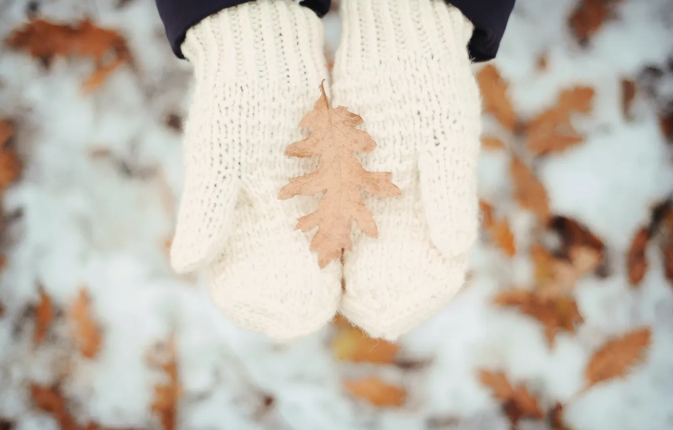 Photo wallpaper winter, snow, leaf, hands, white, mittens, binding