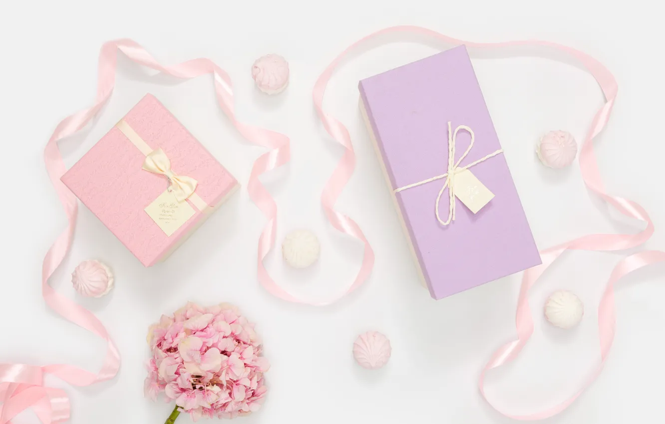 Photo wallpaper flower, holiday, gifts, marshmallows, Celebration, Birthday