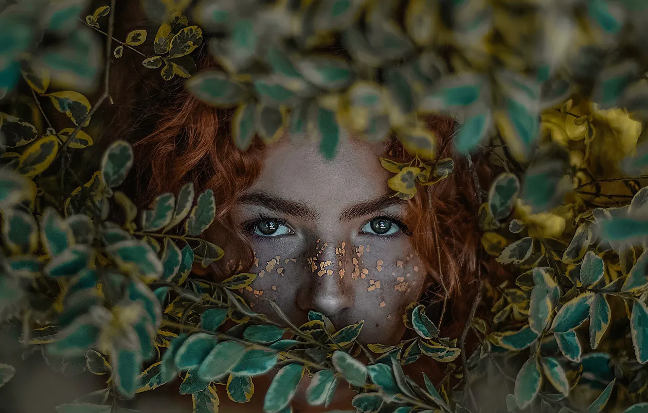 Photo wallpaper eyes, look, leaves, girl, face, red, redhead