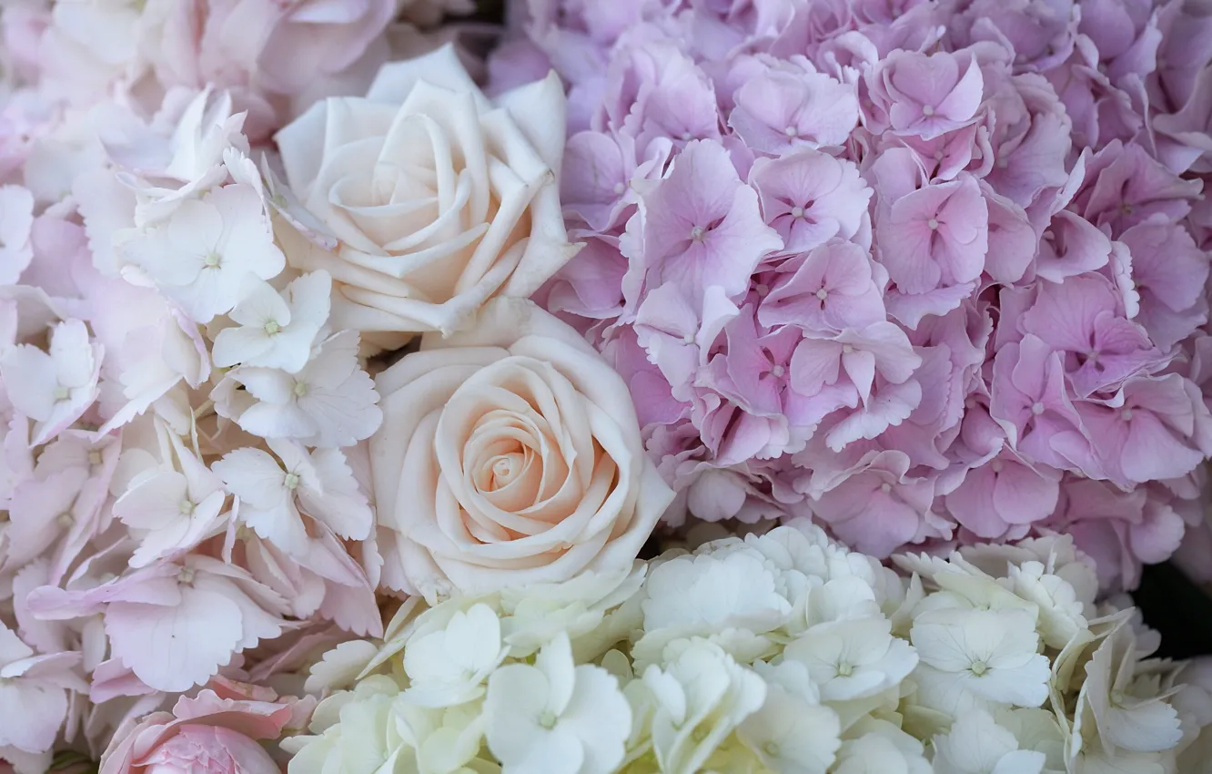 Photo wallpaper macro, roses, hydrangea