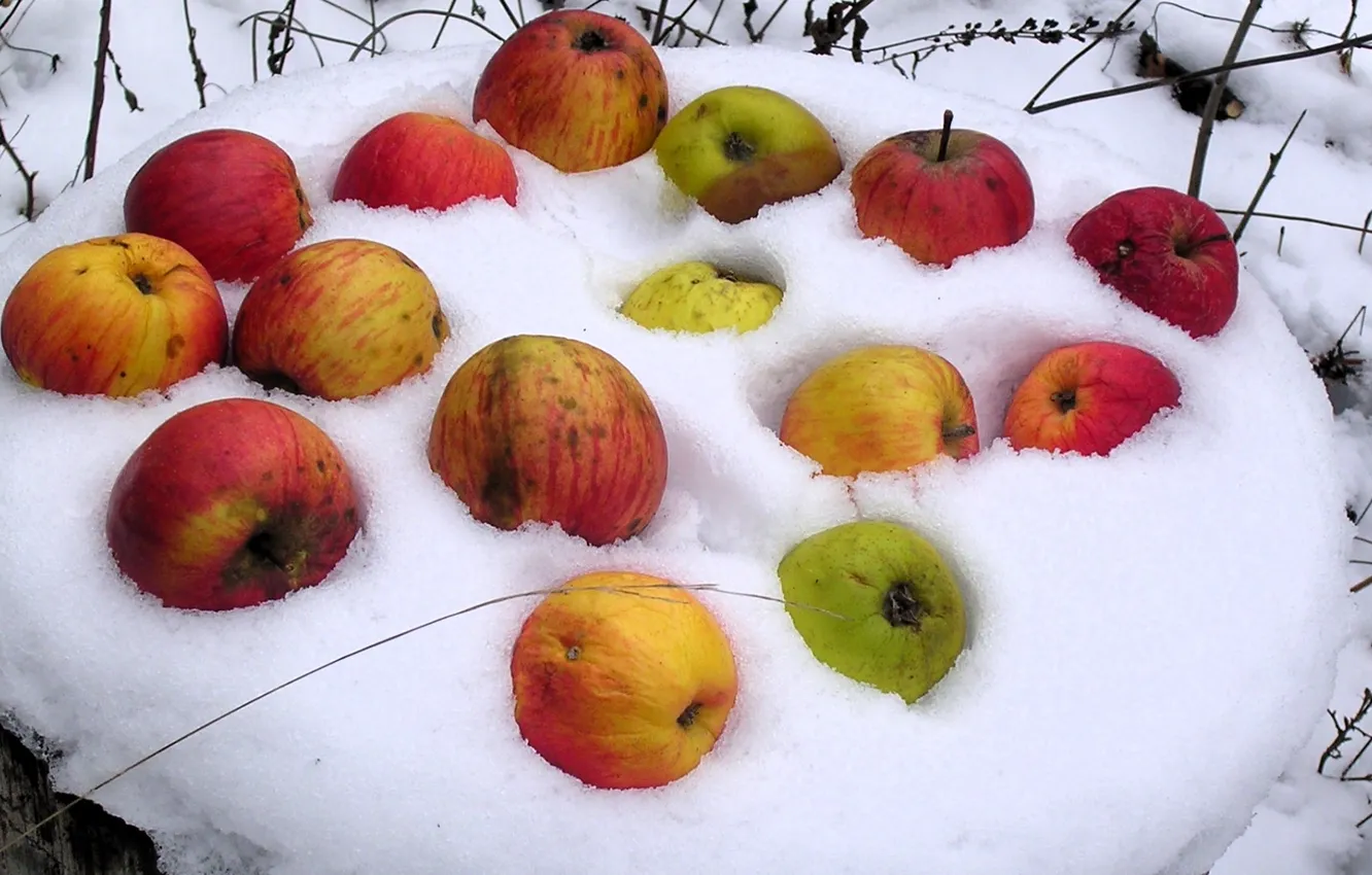 Photo wallpaper winter, snow, apples, placer