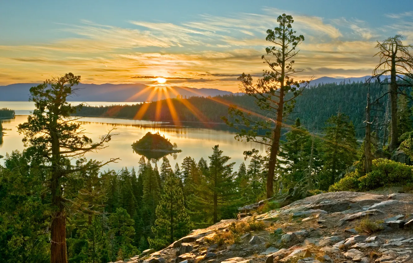 Photo wallpaper forest, trees, sunset, lake, the rays of the sun