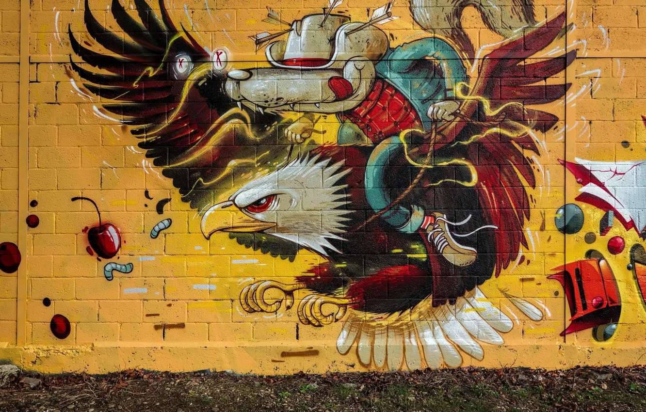 Photo wallpaper wall, eagle, grafiti