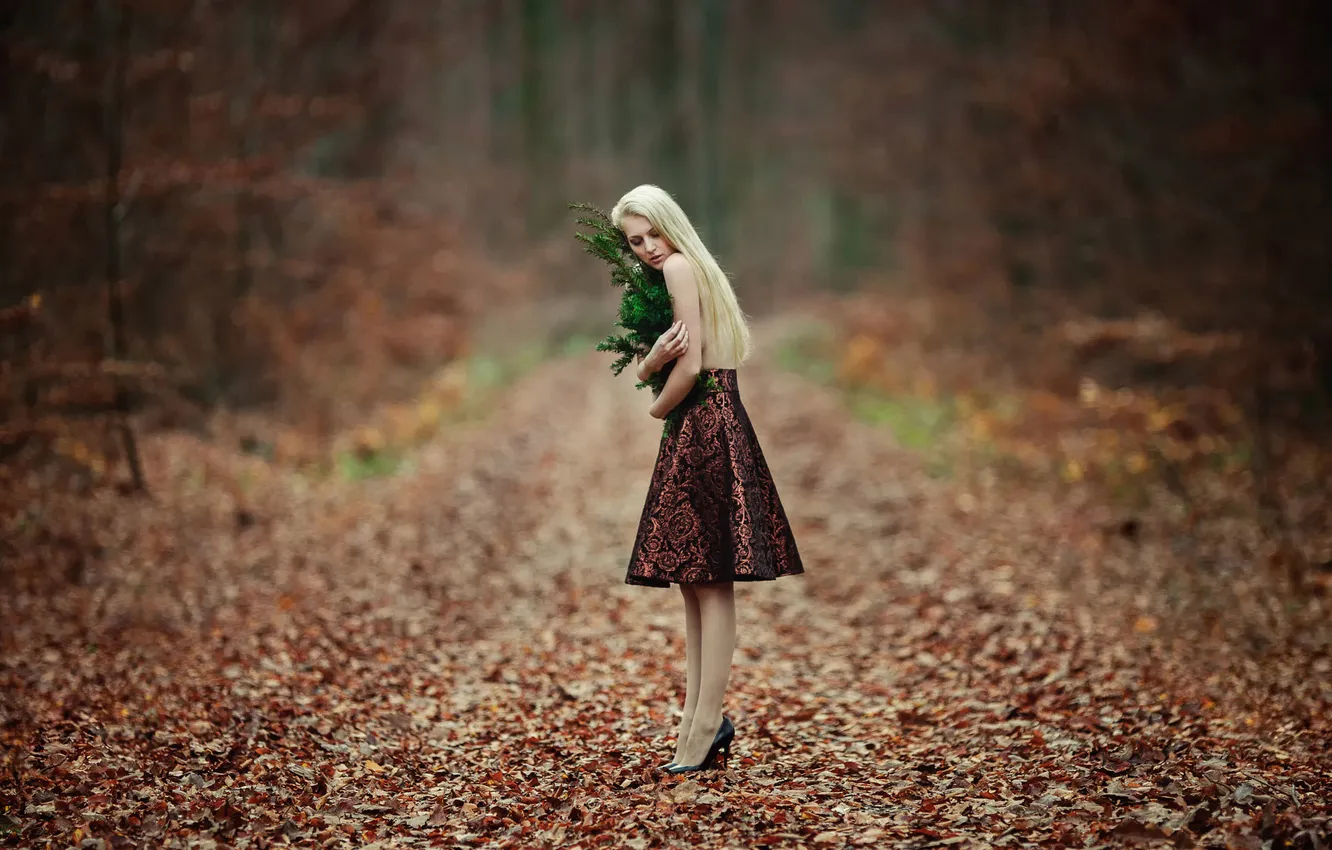 Photo wallpaper forest, girl, one, skirt, shoes