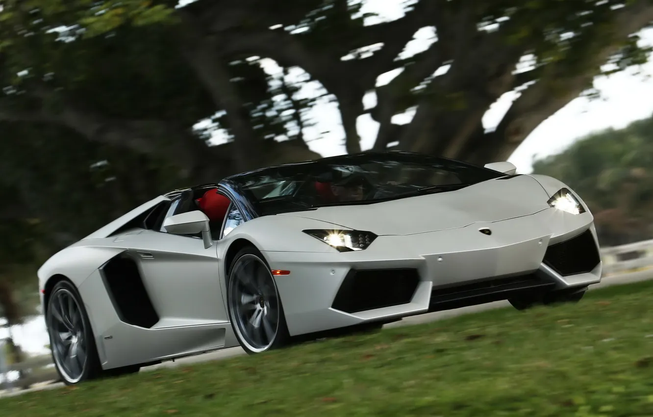 Photo wallpaper machine, light, lights, Roadster, Lamborghini, the front, LP700-4, Aventador