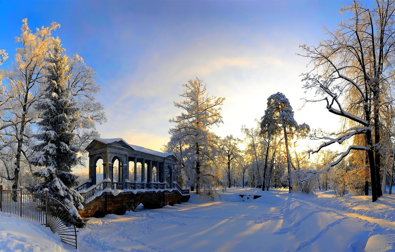 Photo wallpaper winter, snow, trees, Park, Nature, gazebo, Tsarskoye Selo