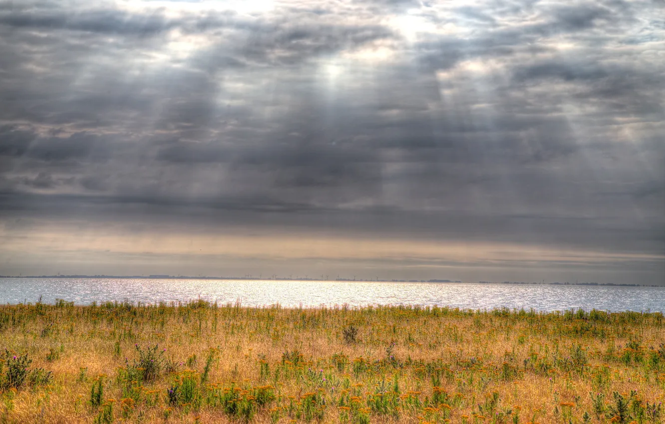 Photo wallpaper field, clouds, Bay, sunlight, wind turbine