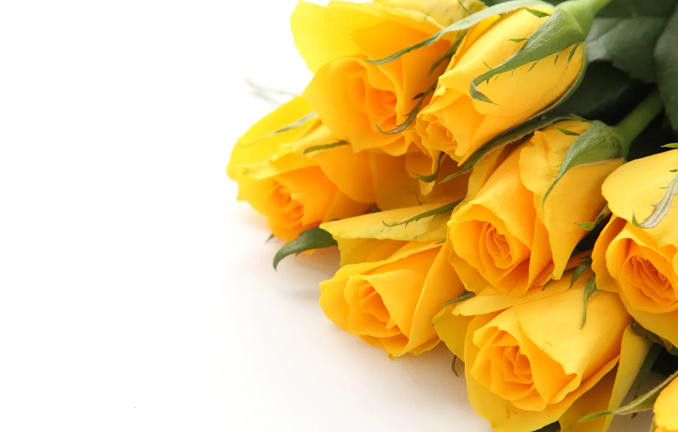 Photo wallpaper roses, bouquet, yellow, Iryna Melnyk