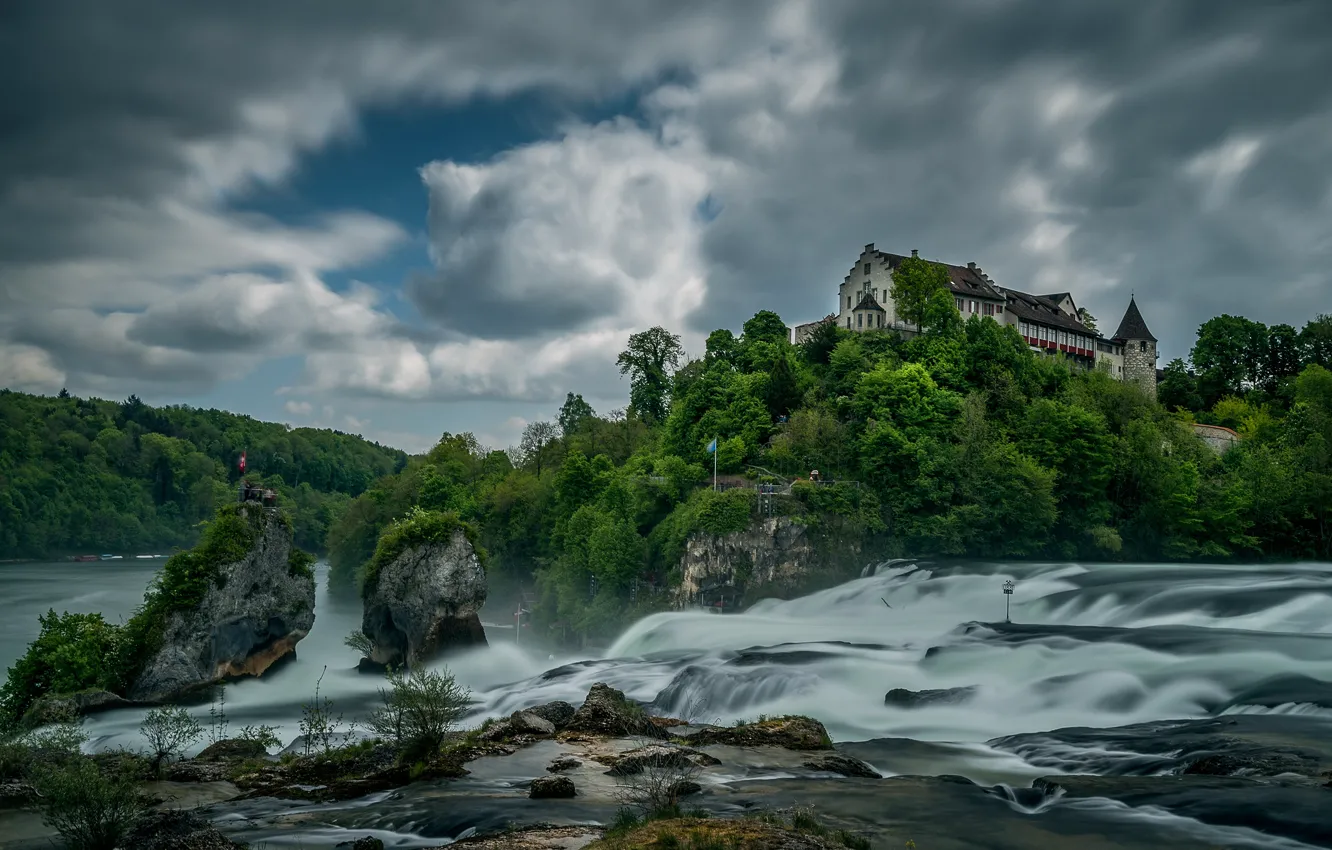 Photo wallpaper greens, forest, summer, the sky, clouds, trees, river, stones