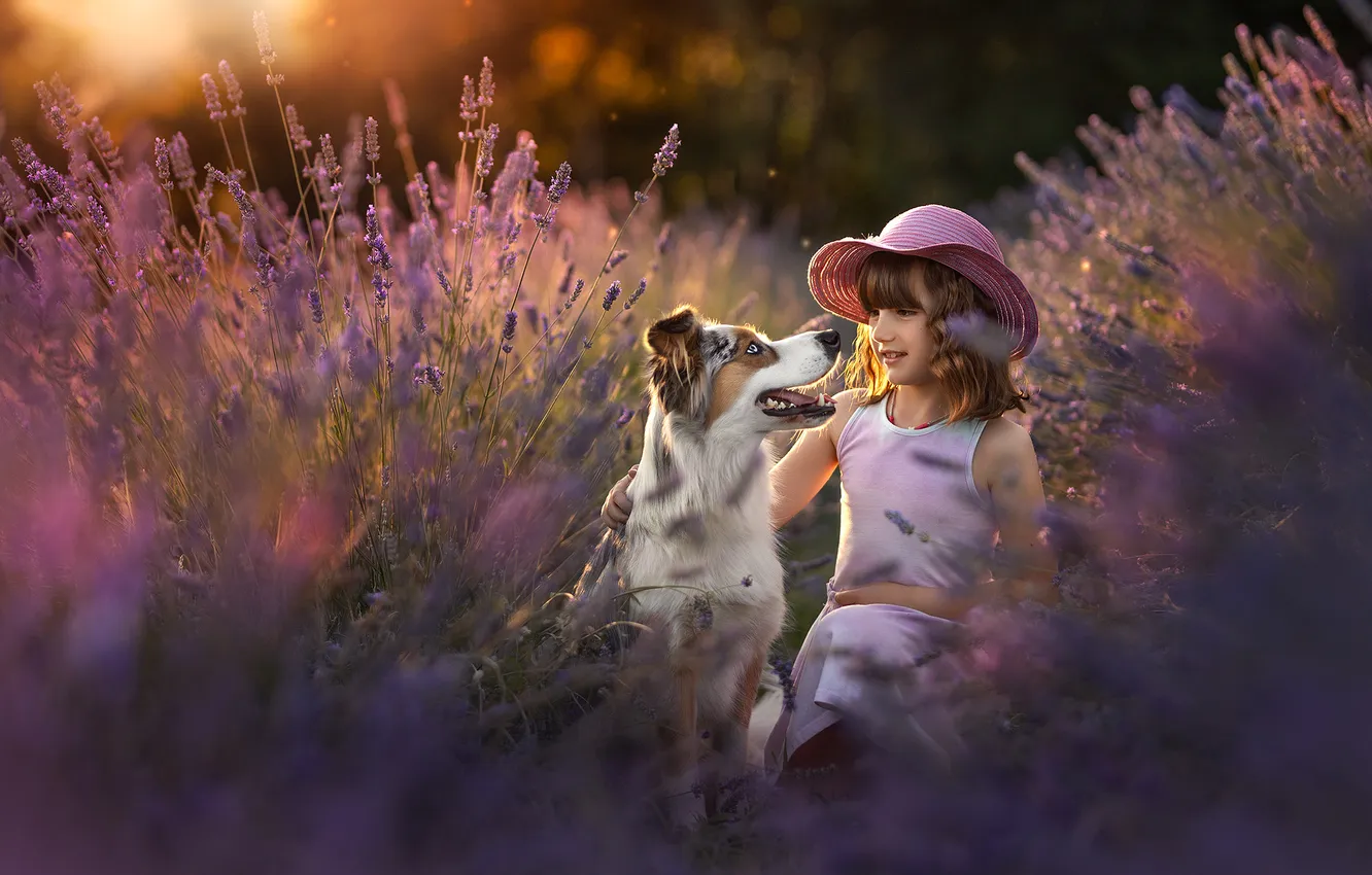 Photo wallpaper look, flowers, nature, pose, each, portrait, dog, girl