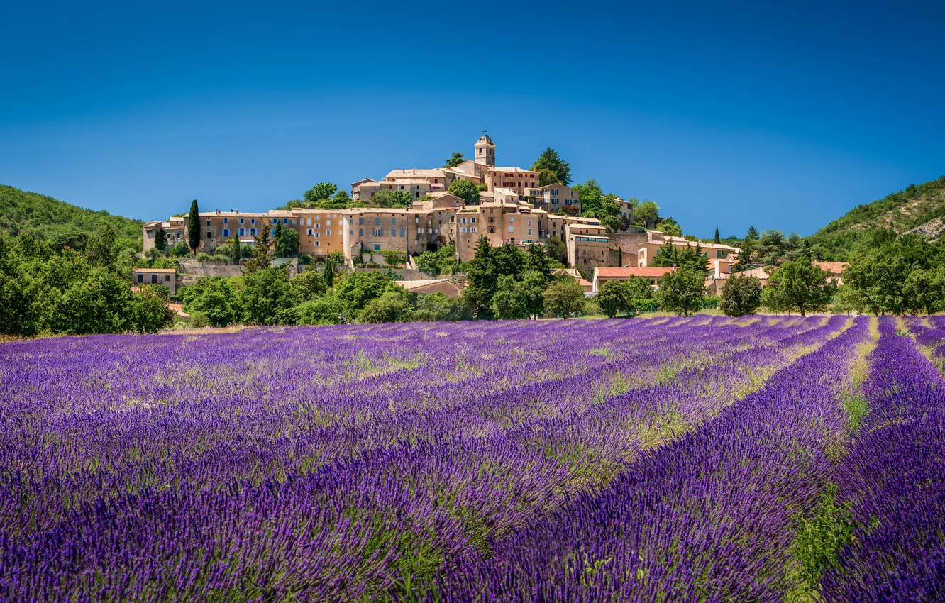 Photo wallpaper castle, lavender, lavender field