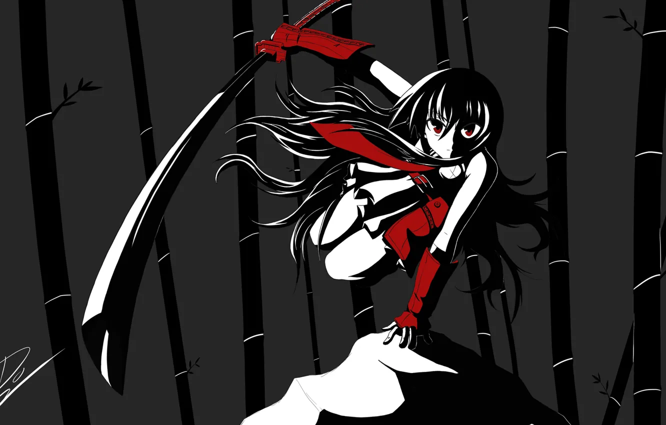 Photo wallpaper katana, Akame ga Kill, akame, Akame GA Kill, Night Raid