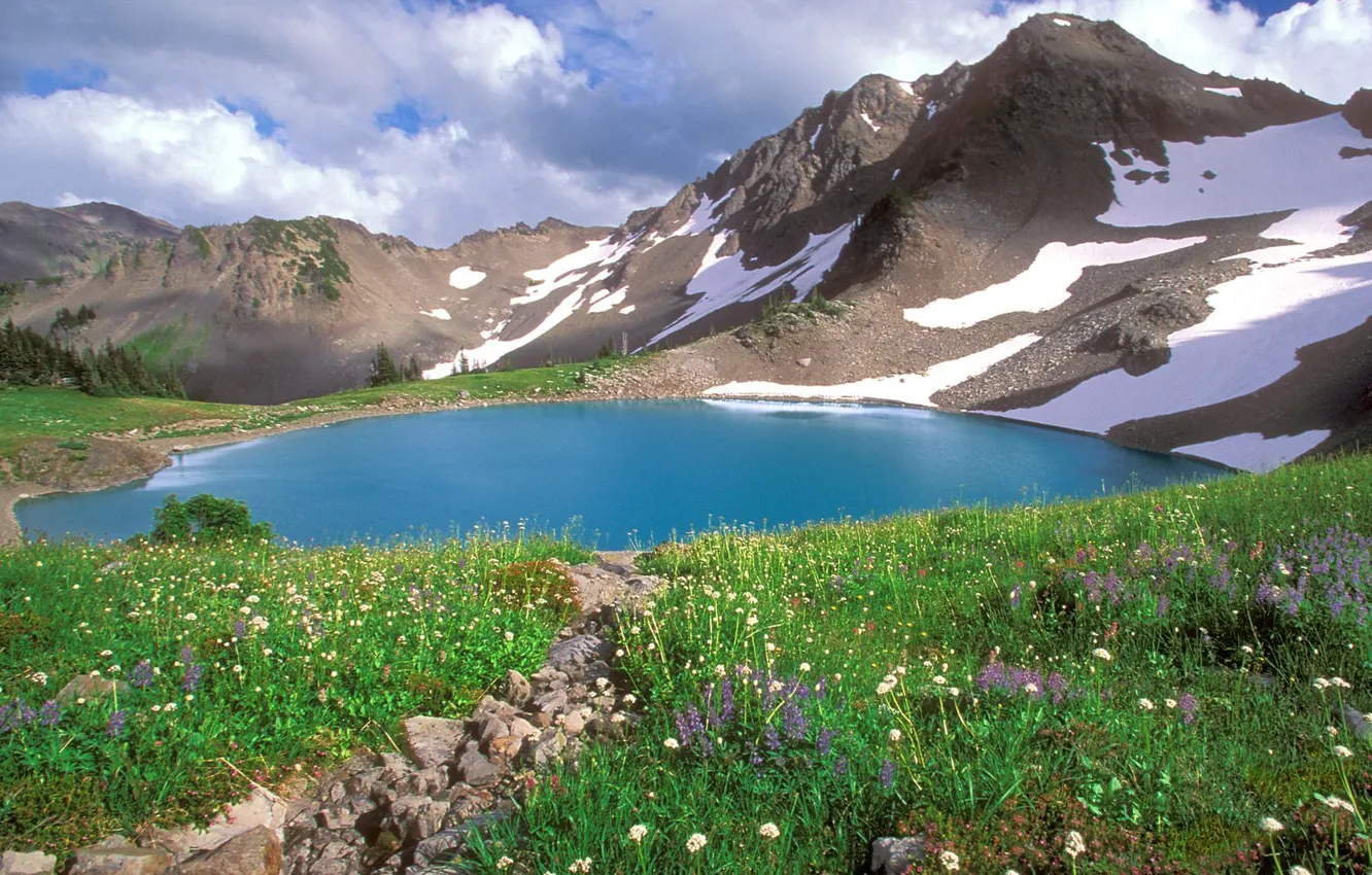 Photo wallpaper flowers, mountains, lake