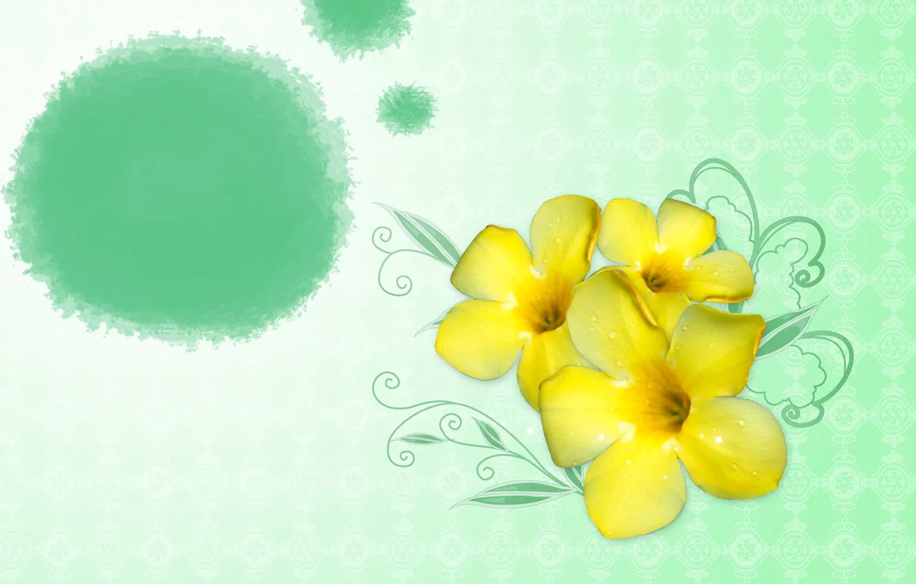 Photo wallpaper yellow, collage, Wallpaper, figure, petals, buds, the sun