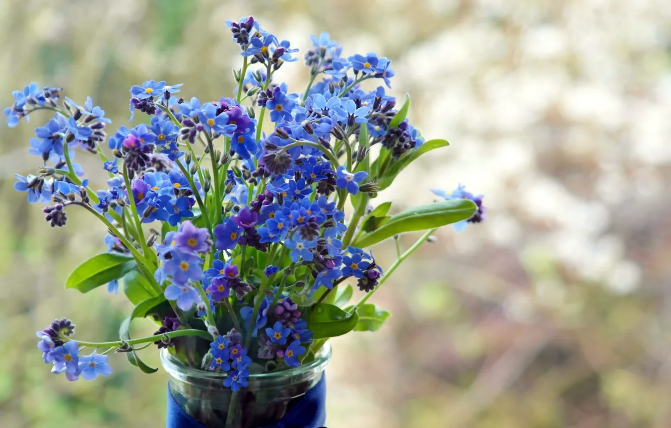 Photo wallpaper vase, forget-me-nots, flowers