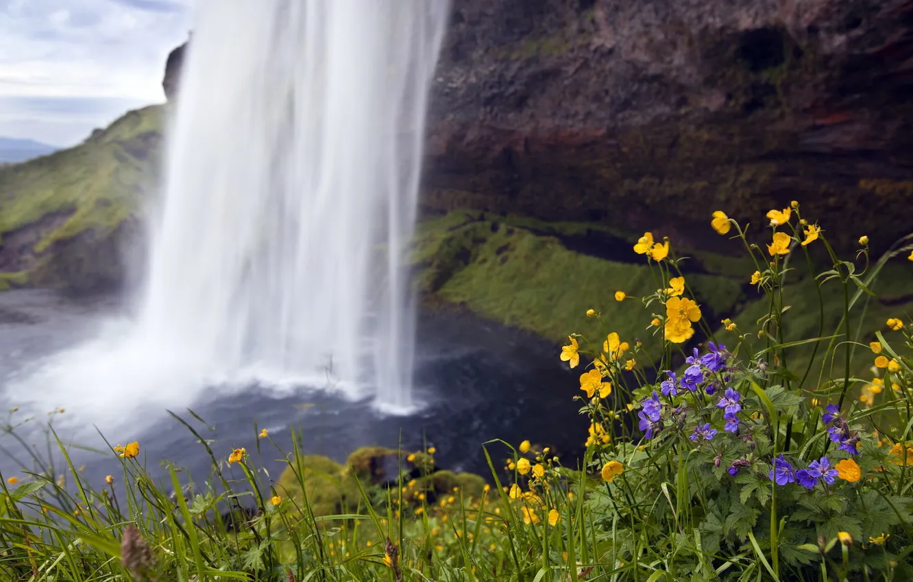 Photo wallpaper summer, flowers, nature, waterfall