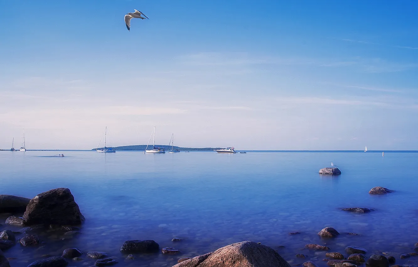 Photo wallpaper sea, the sky, nature, stones, bird, shore, boat, horizon