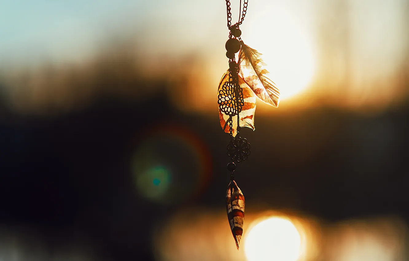 Photo wallpaper sunset, feathers, suspension