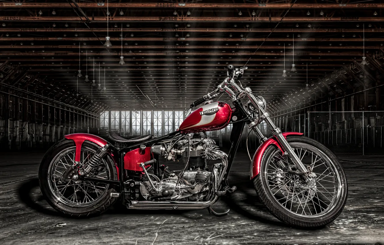 Photo wallpaper style, hangar, motorcycle, bike, Triumph