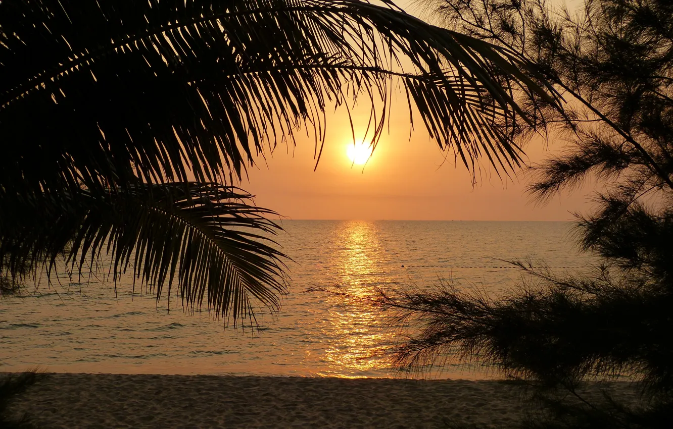 Photo wallpaper sand, sea, beach, the sun, trees, nature, palm trees, the ocean