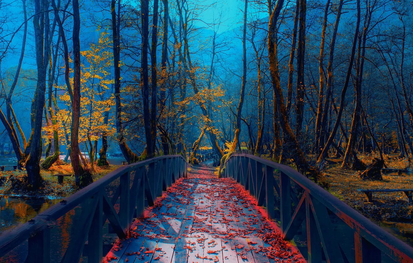 Photo wallpaper autumn, bridge, Park, river, foliage, Bosnia, Mevludin Sejmenovic