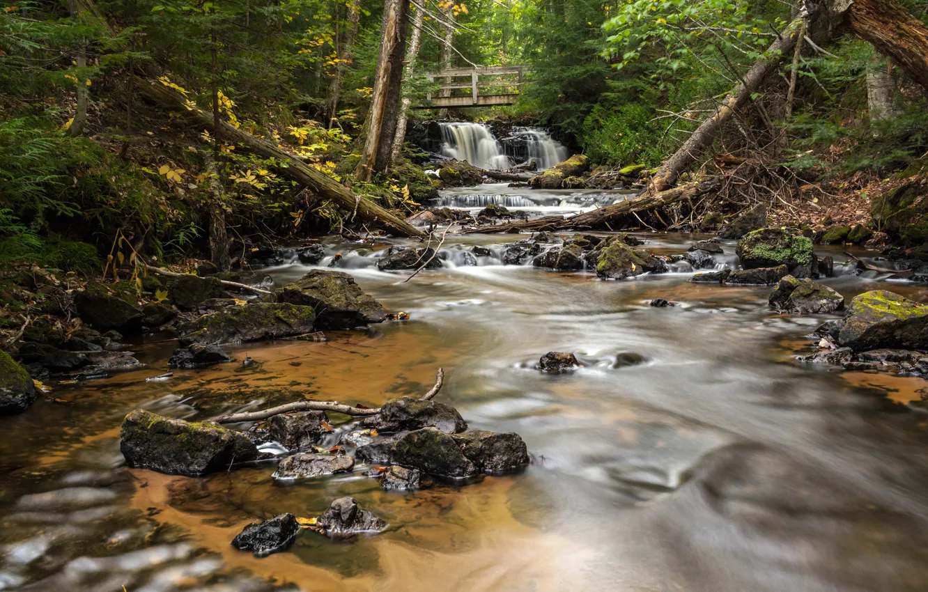 Photo wallpaper forest, bridge, river, stones, waterfall, Michigan, Alger County, Chapel Falls