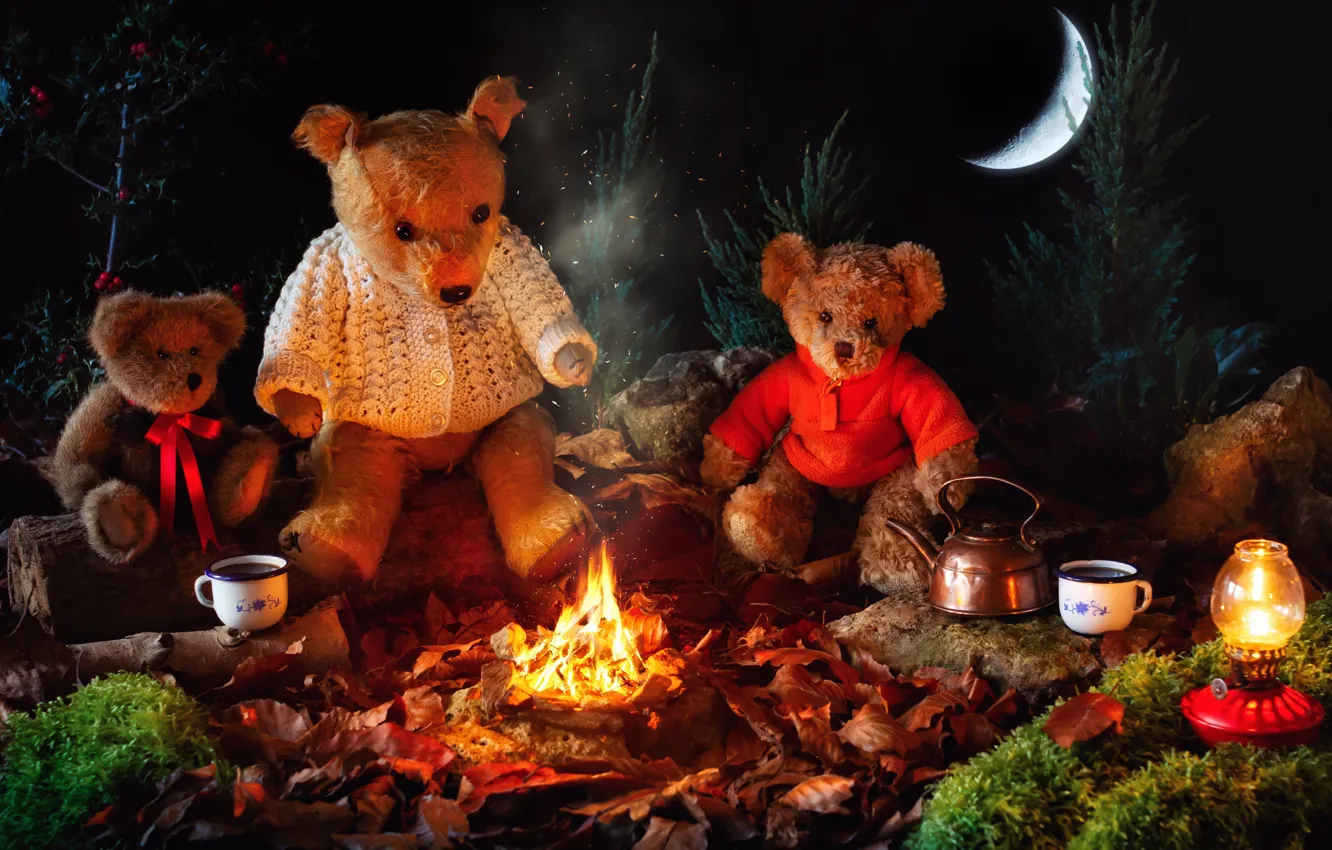 Photo wallpaper night, fire, toys, a month, kettle, bears, Cup, the fire