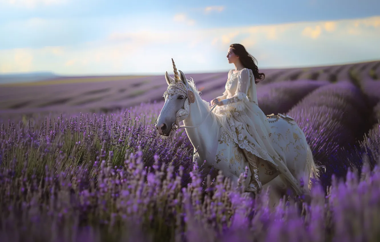 Photo wallpaper field, white, summer, girl, flowers, nature, horse, horse