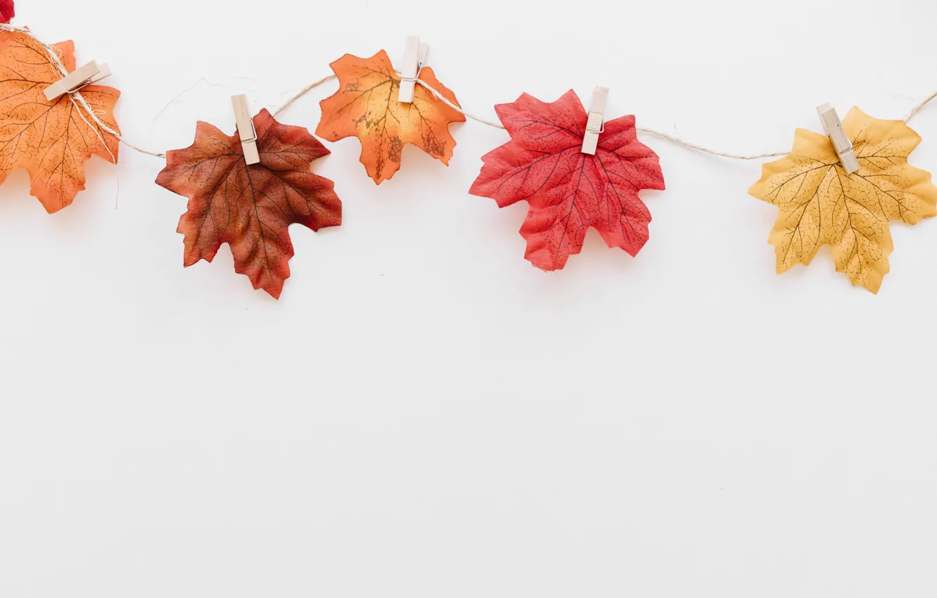 Photo wallpaper autumn, leaves, background, colorful, background, autumn, leaves, autumn