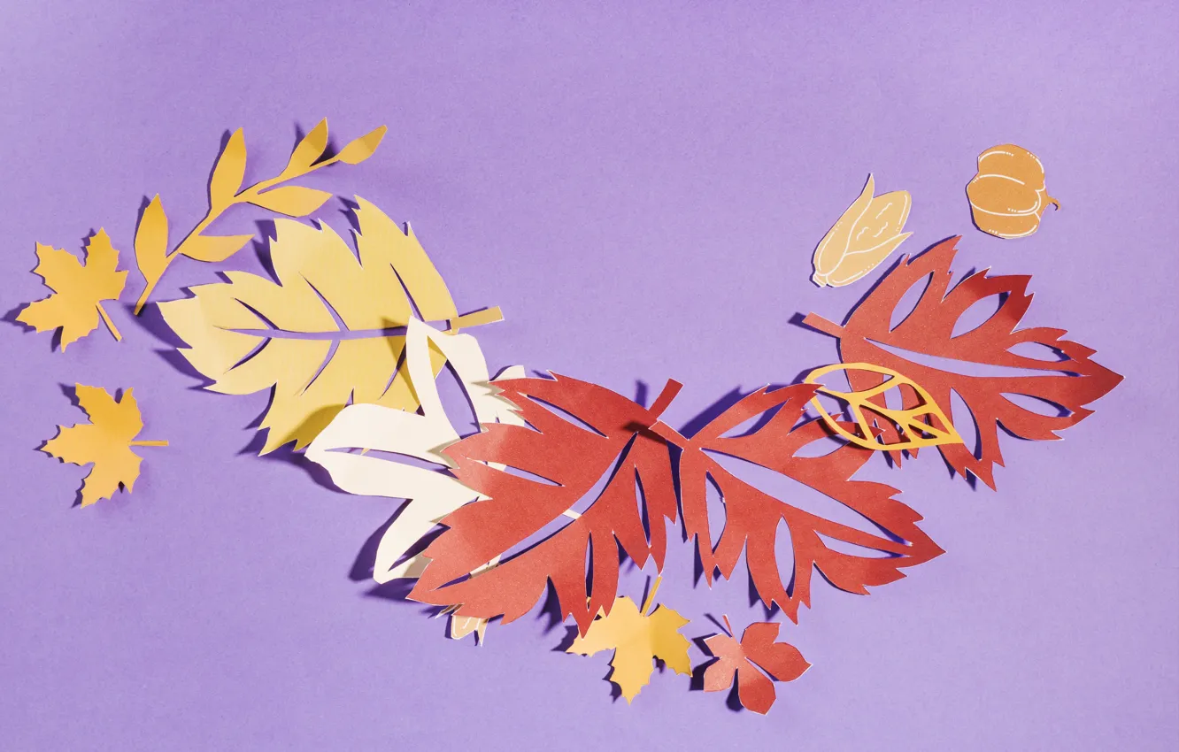 Photo wallpaper autumn, leaves, background, colorful, background, autumn, leaves, autumn