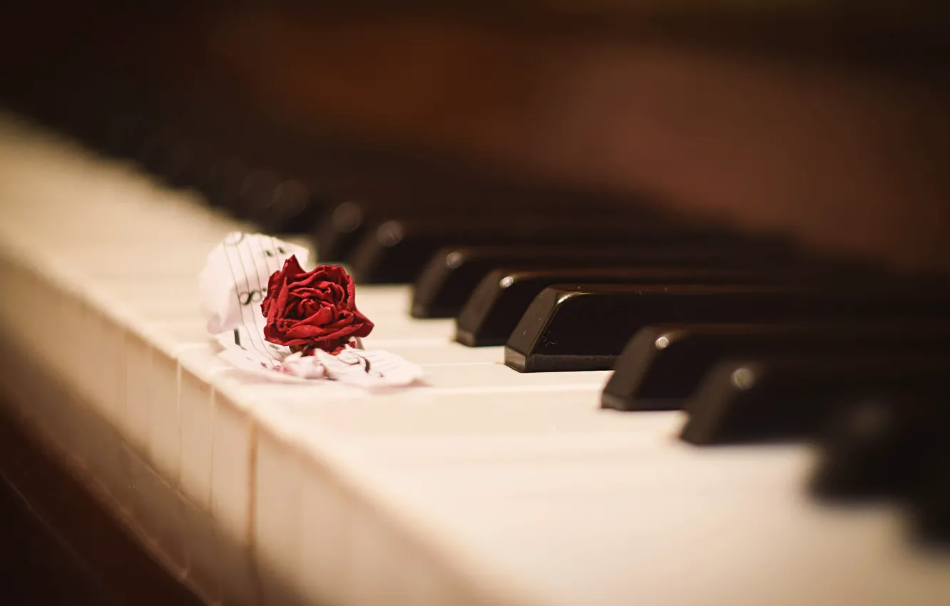 Photo wallpaper flowers, red, notes, music, blur, keys, piano, piano