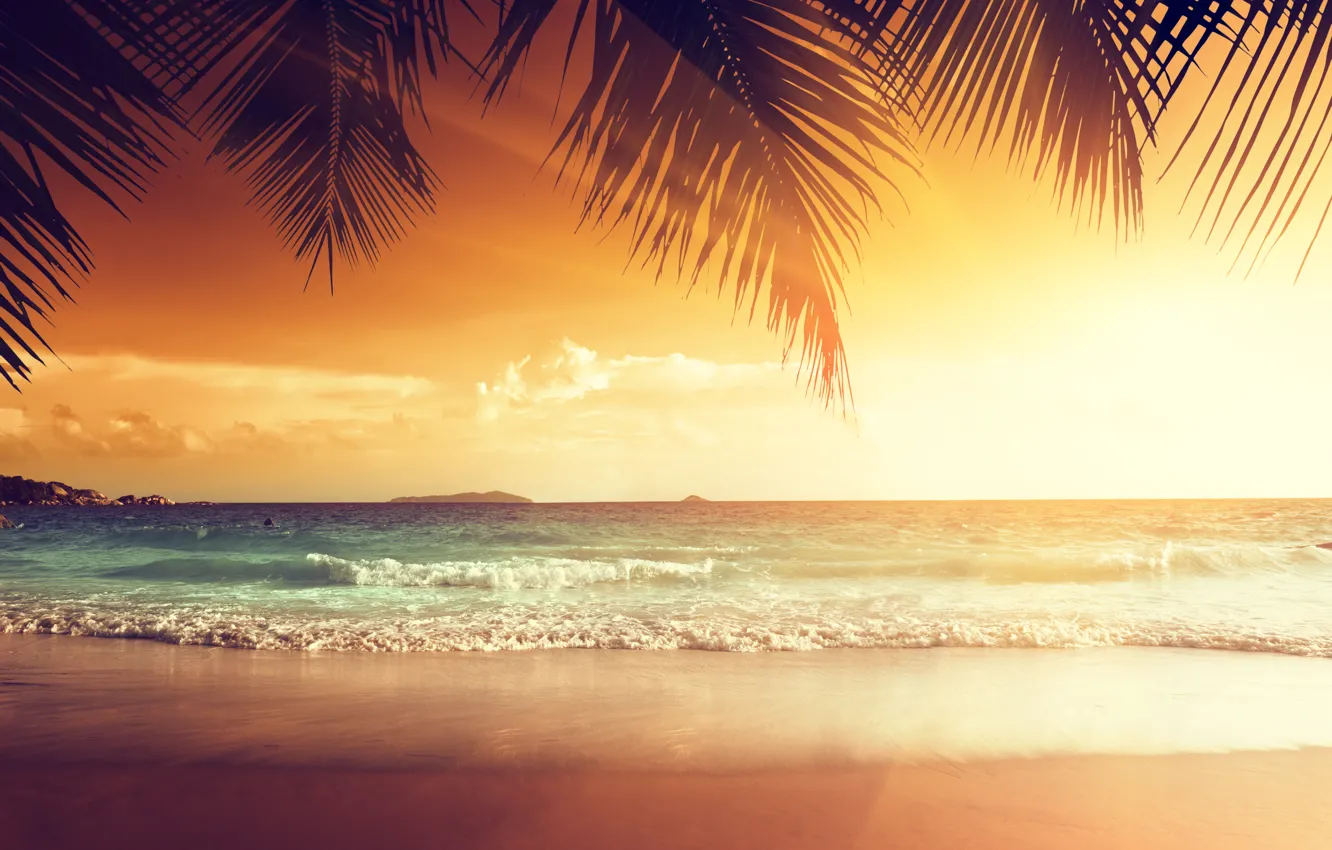 Photo wallpaper sand, sea, beach, sunset, tropics, palm trees, shore, summer