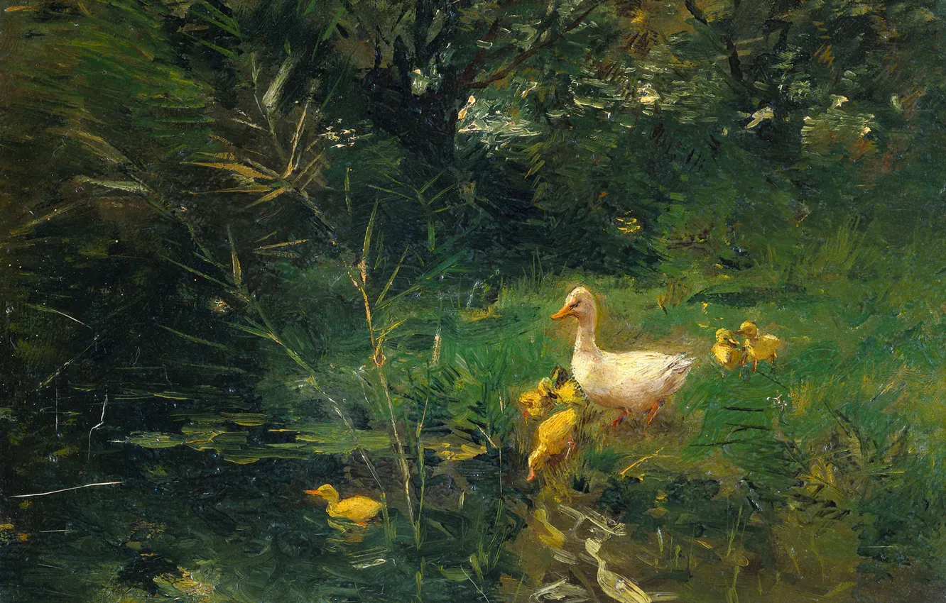 Photo wallpaper oil, picture, 1907, Willem Maris, Willem Maris, Duck with ducklings