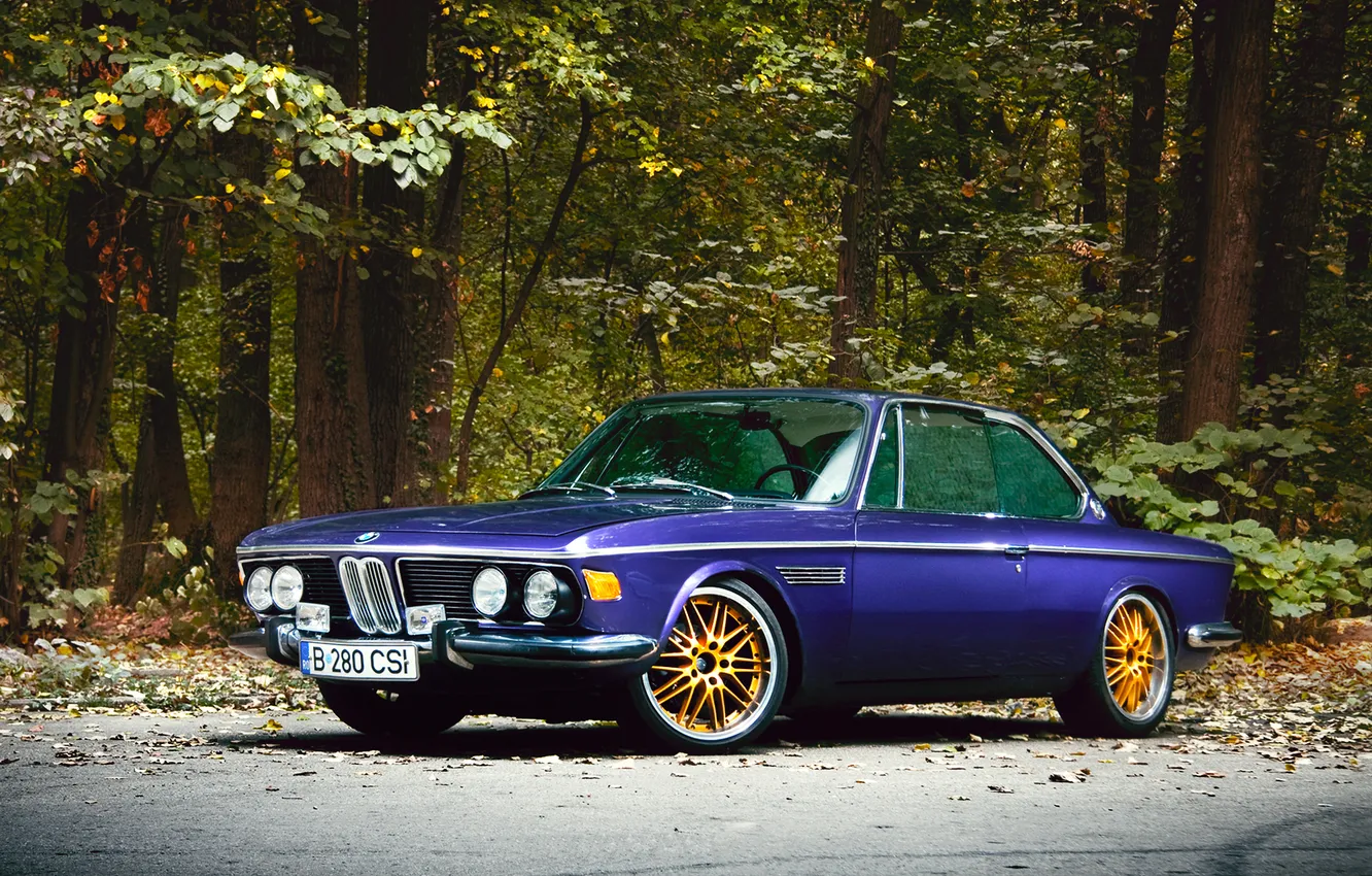 Photo wallpaper nature, BMW, 1969
