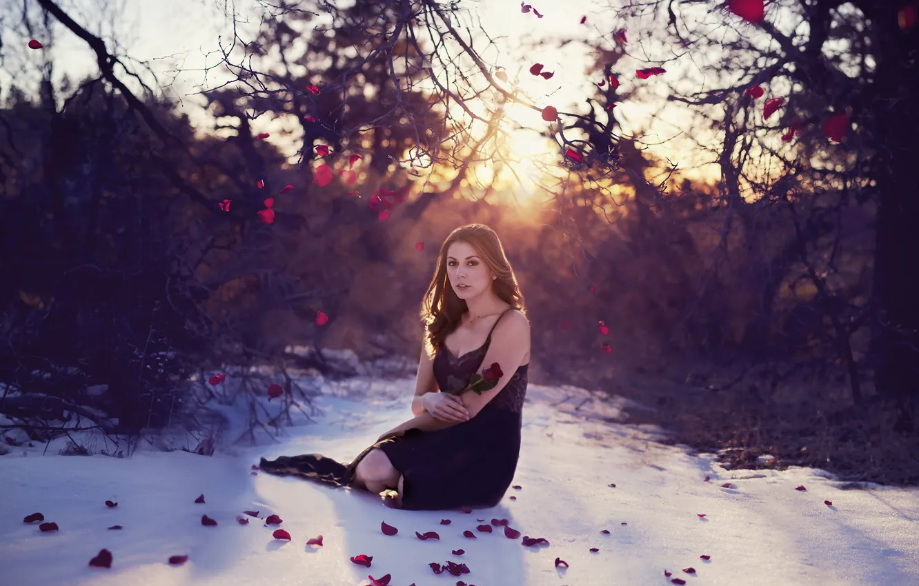 Photo wallpaper girl, nature, rose