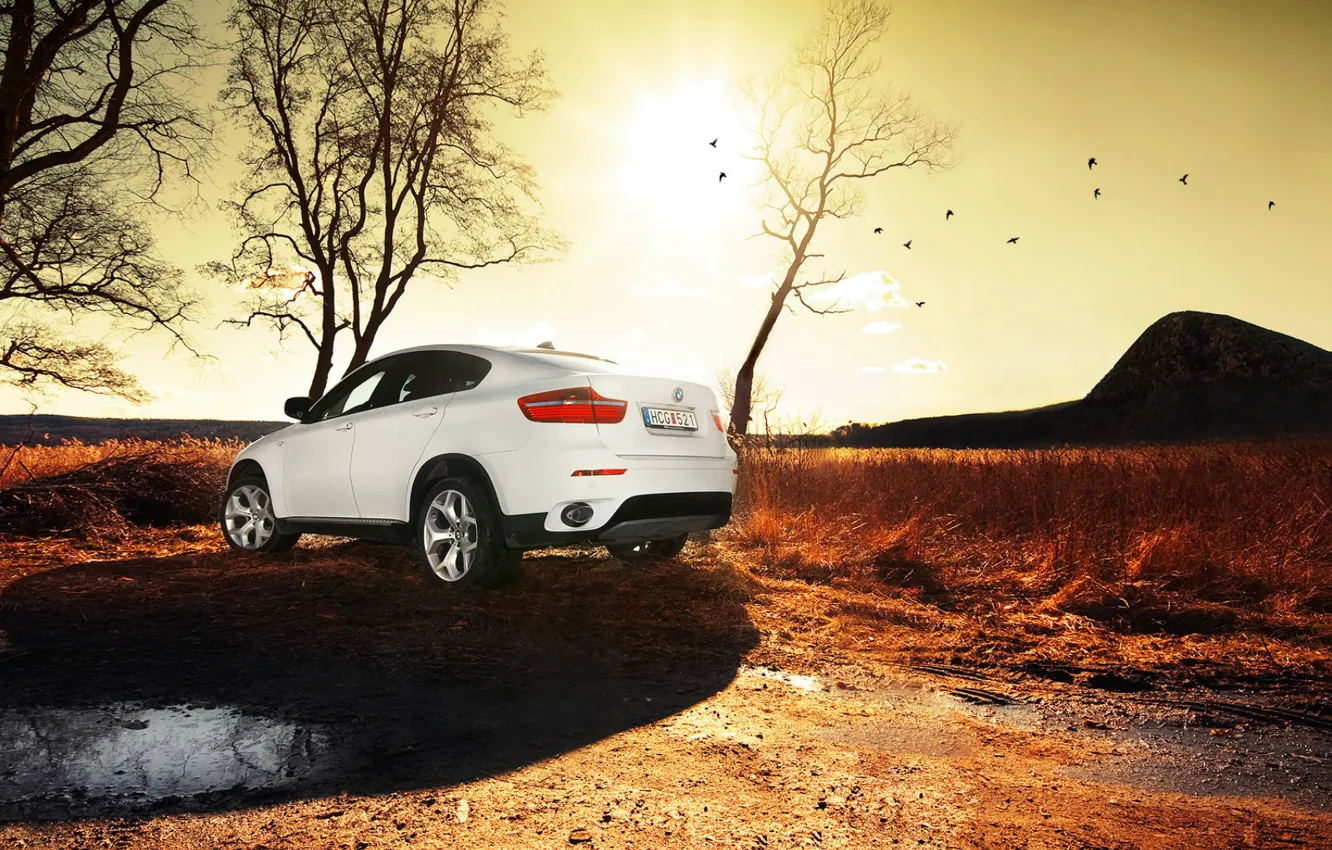 Photo wallpaper white, the sun, BMW, puddle, SUV, bmw x6, SUV