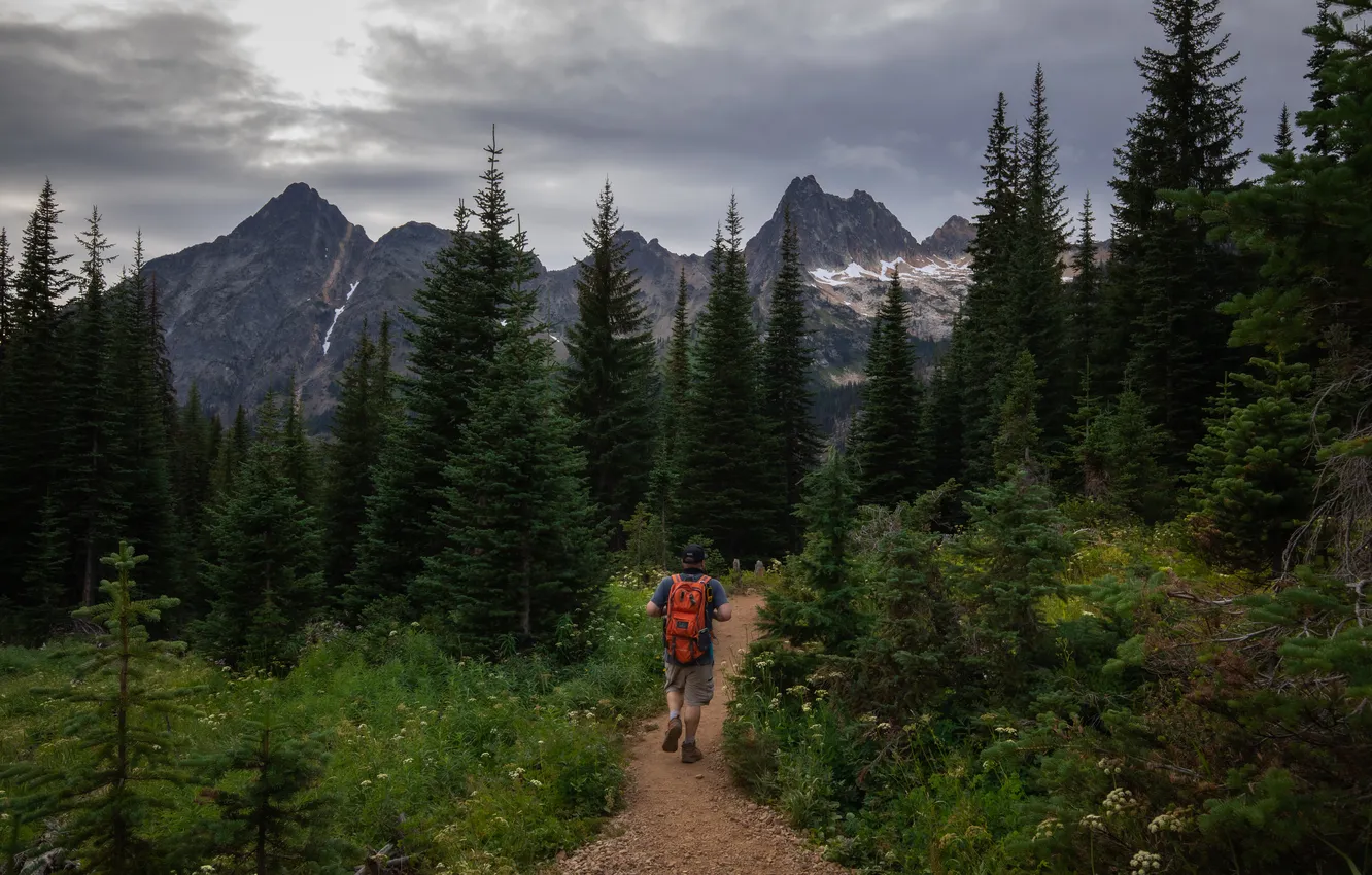 Photo wallpaper forest, clouds, mountains, people, ate, male, walk, backpack