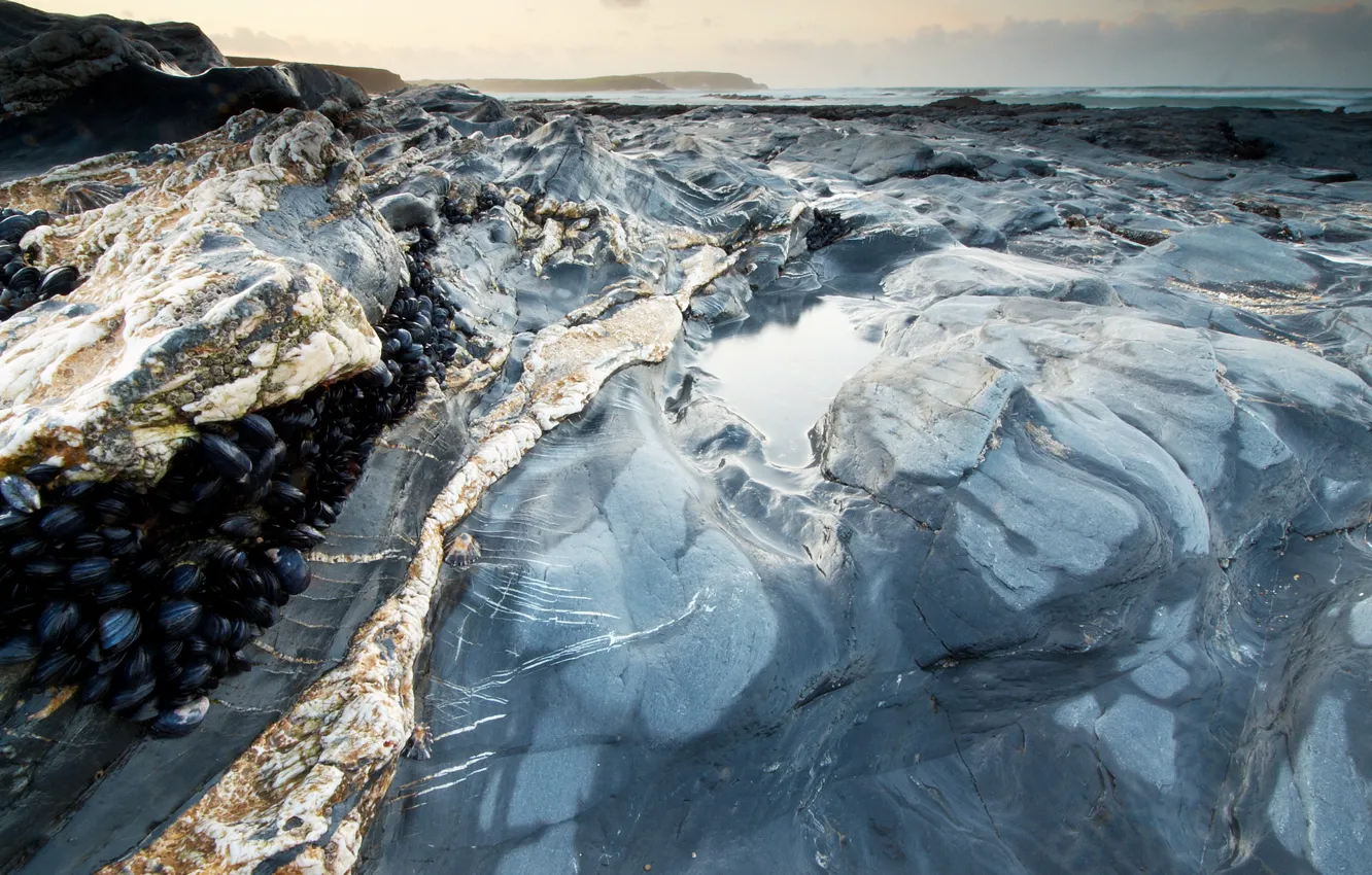 Photo wallpaper ice, water, stones, shore