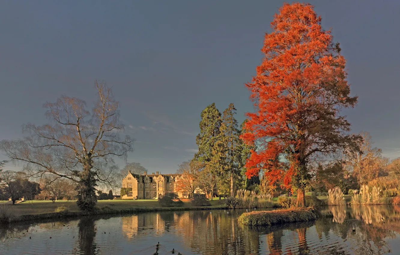 Photo wallpaper autumn, the sky, trees, pond, castle, duck