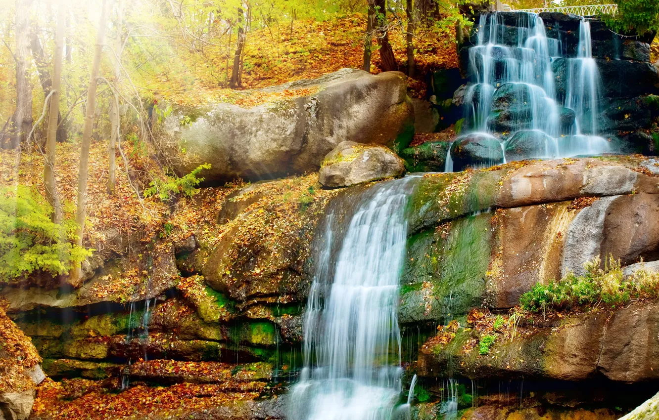 Photo wallpaper autumn, forest, leaves, trees, Park, stream, stones, waterfall