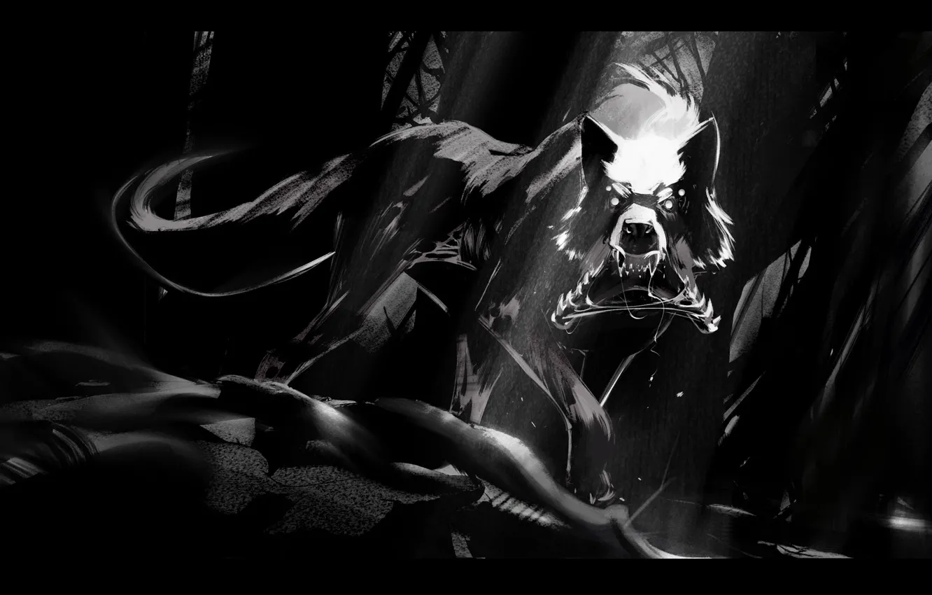 Photo wallpaper wolf, black and white, fanetti