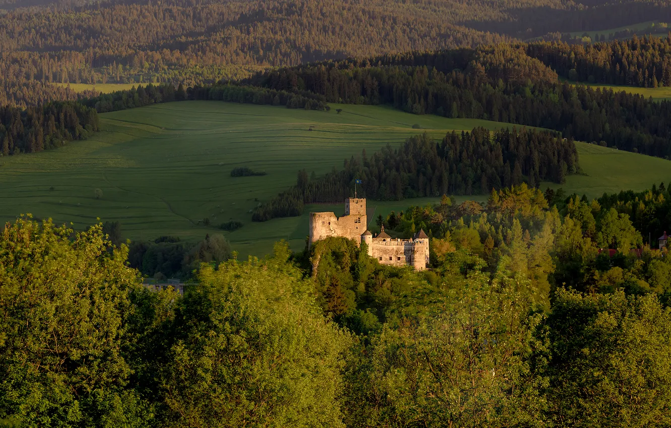 Photo wallpaper forest, trees, castle, hills, height, dal, crown, the