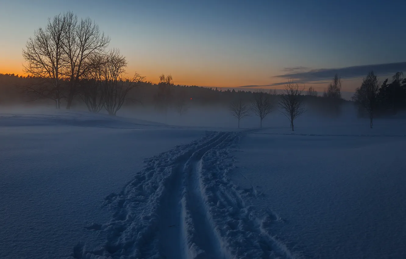 Photo wallpaper winter, snow, traces, morning