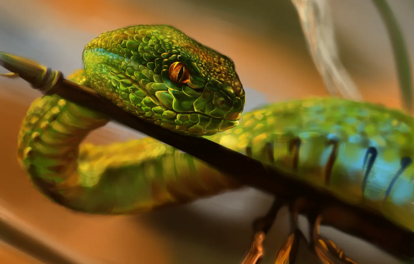 Photo wallpaper look, nature, snake, branch, scales, green, crawling