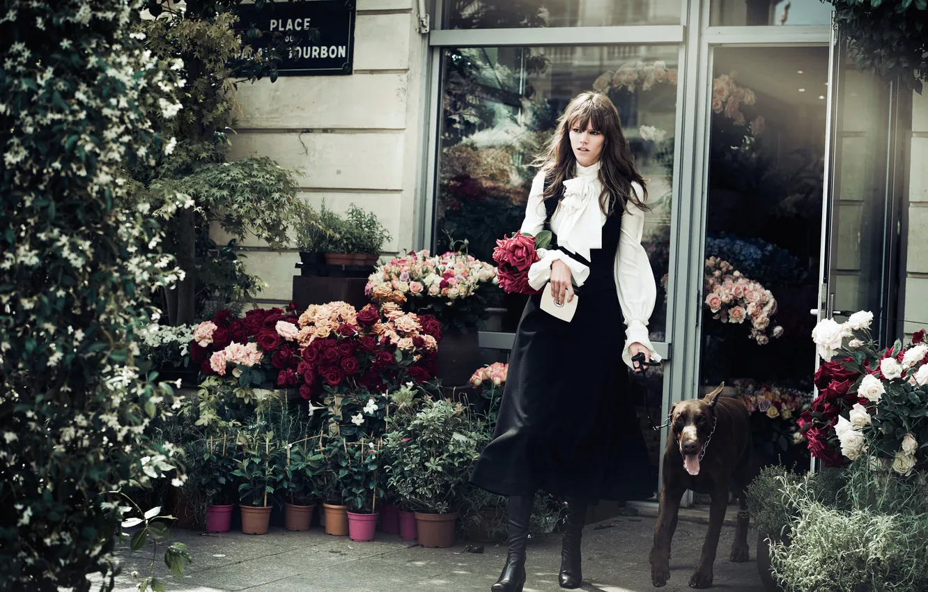 Photo wallpaper flowers, model, roses, dog, brunette, photographer, shop, floral