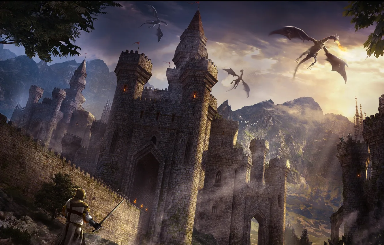 Photo wallpaper castle, dragon, the middle ages, Crusader