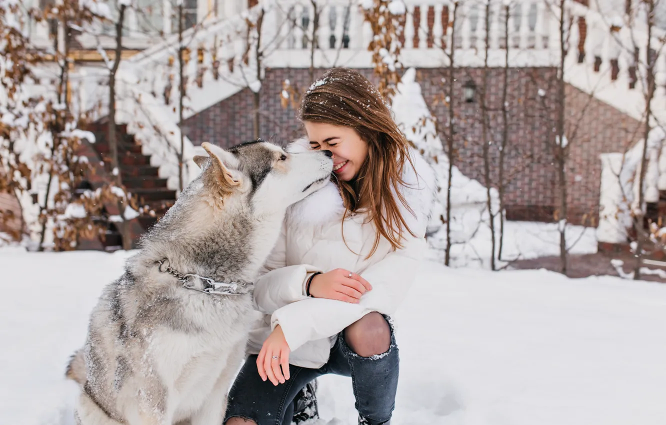 Photo wallpaper girl, snow, each, dog, communication