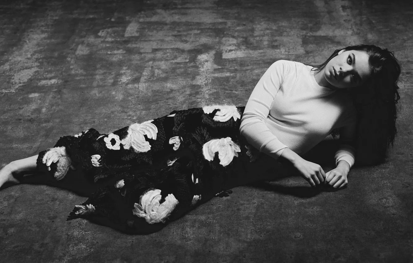 Photo wallpaper pose, actress, brunette, Hailee Steinfeld